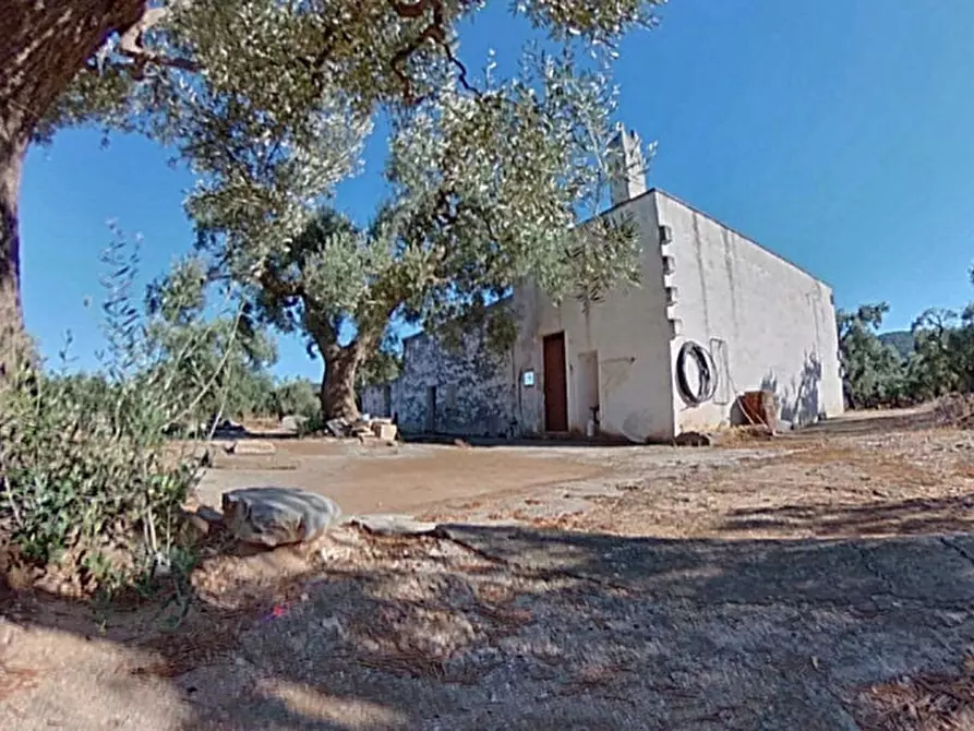 Immagine 3 di Rustico / casale in vendita  in ANNU a Fasano