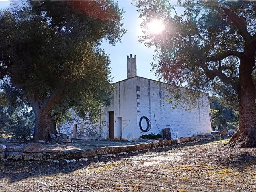 Immagine 4 di Rustico / casale in vendita  in ANNU a Fasano