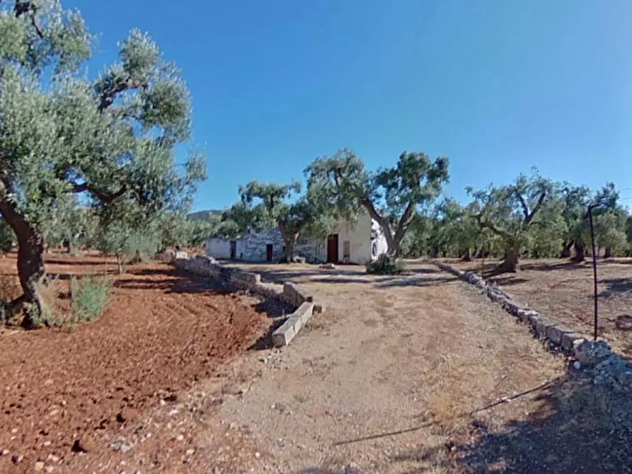 Immagine 5 di Rustico / casale in vendita  in ANNU a Fasano