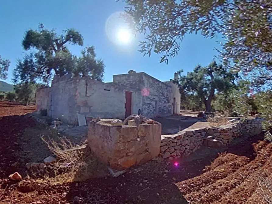 Immagine 6 di Rustico / casale in vendita  in ANNU a Fasano