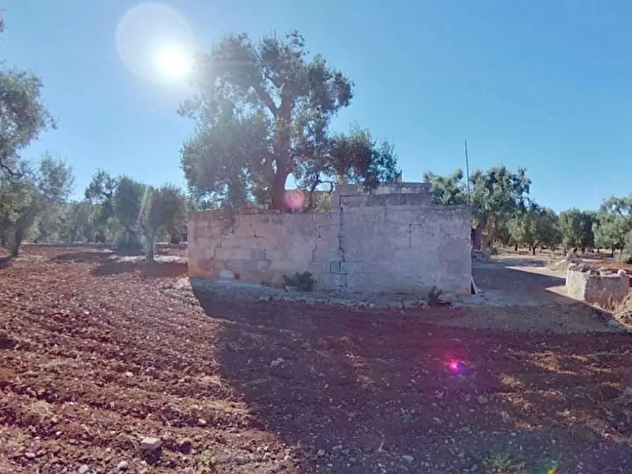 Immagine 7 di Rustico / casale in vendita  in ANNU a Fasano