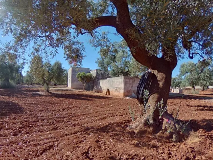 Immagine 8 di Rustico / casale in vendita  in ANNU a Fasano