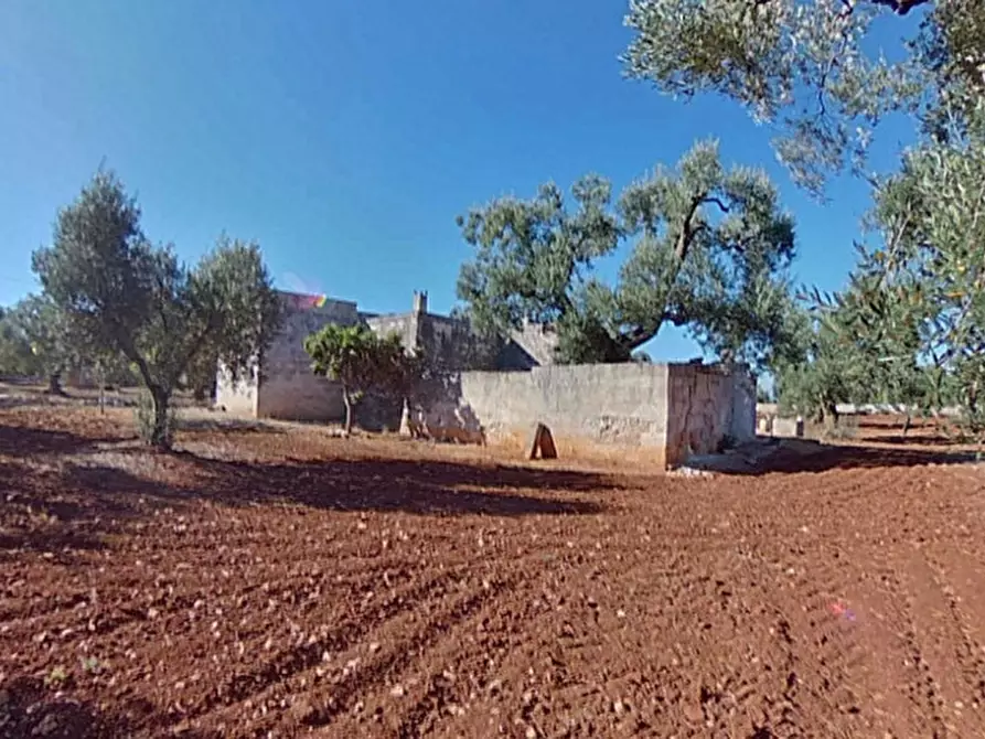 Immagine 9 di Rustico / casale in vendita  in ANNU a Fasano