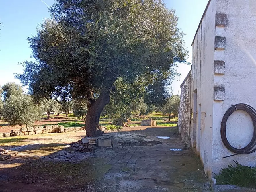 Immagine 14 di Rustico / casale in vendita  in ANNU a Fasano
