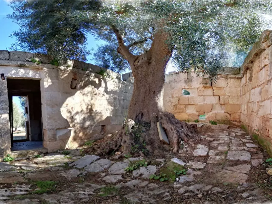Immagine 15 di Rustico / casale in vendita  in ANNU a Fasano