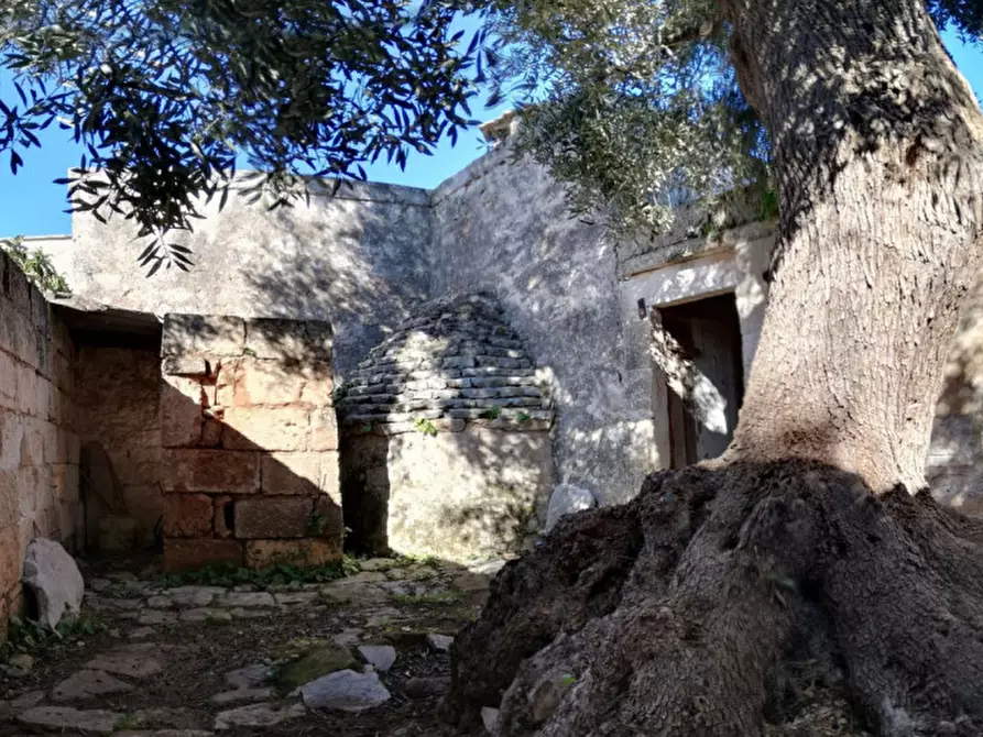 Immagine 16 di Rustico / casale in vendita  in ANNU a Fasano