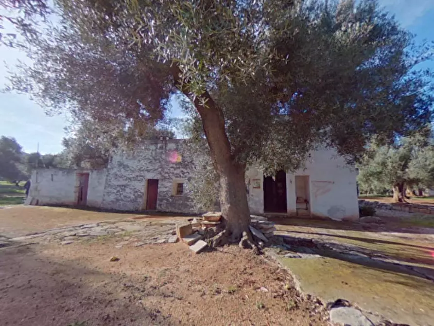 Immagine 19 di Rustico / casale in vendita  in ANNU a Fasano