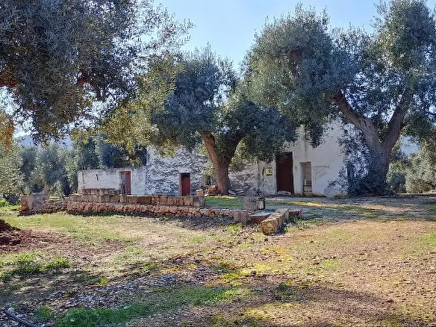 Immagine 37 di Rustico / casale in vendita  in ANNU a Fasano