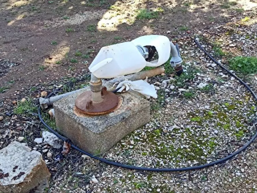 Immagine 38 di Rustico / casale in vendita  in ANNU a Fasano