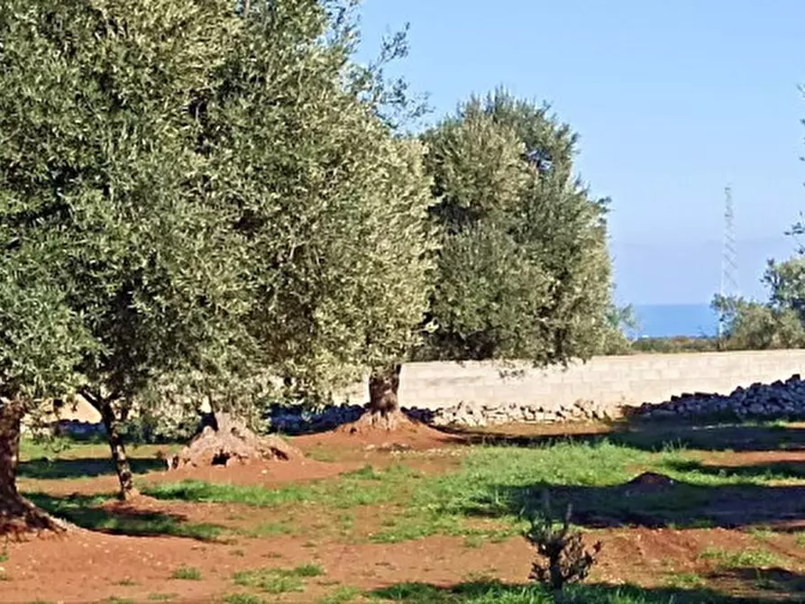 Immagine 39 di Rustico / casale in vendita  in ANNU a Fasano