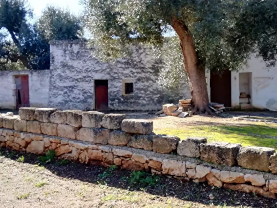 Immagine 40 di Rustico / casale in vendita  in ANNU a Fasano