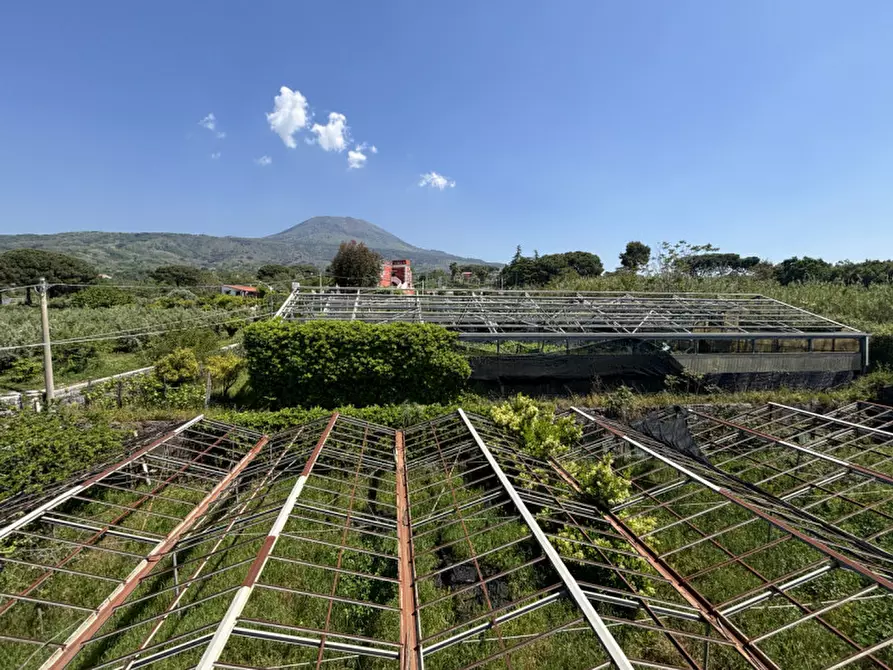 Immagine 6 di Casa bifamiliare in vendita  in VIA BOCCEA a Torre Del Greco