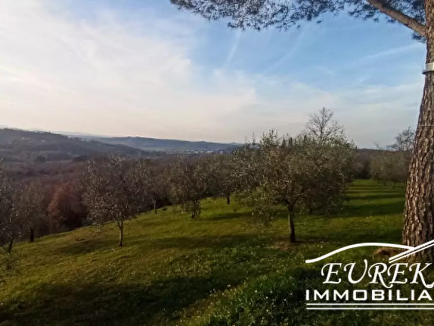 Immagine 16 di Rustico / casale in vendita  in CORSO VANNUCCI a Città Della Pieve