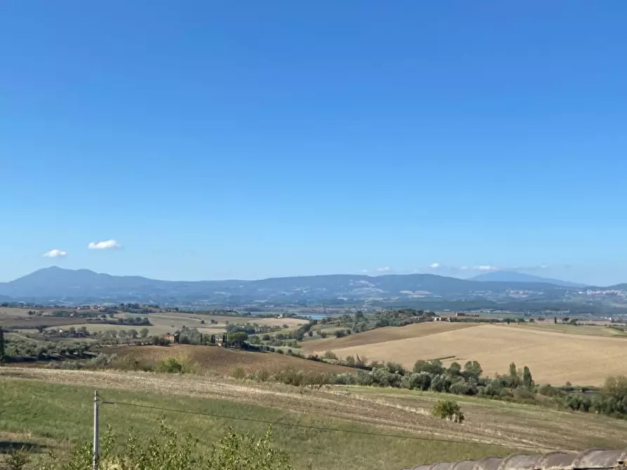 Immagine 22 di Villa in vendita  in Via Roma a Castiglione Del Lago