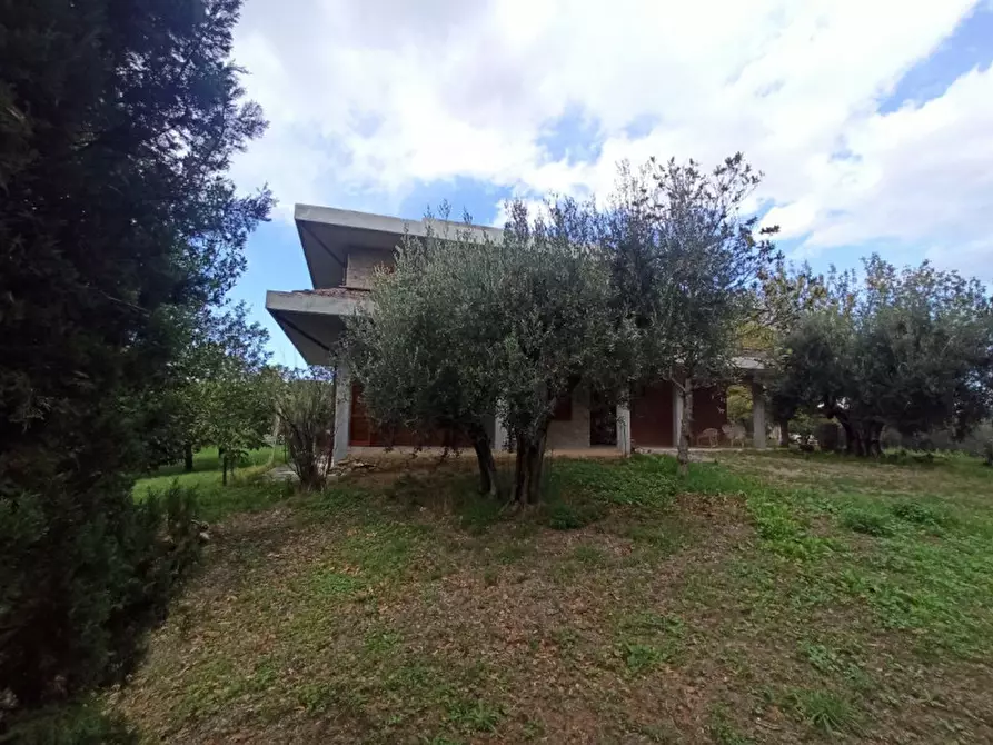 Immagine 33 di Villa in vendita  in Via Roma a Castiglione Del Lago