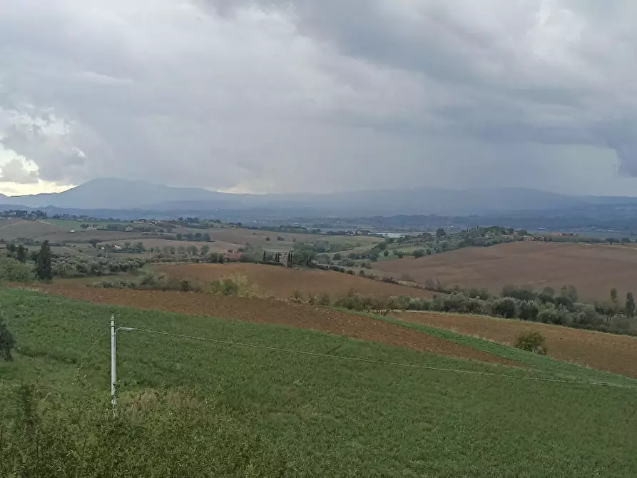 Immagine 35 di Villa in vendita  in Via Roma a Castiglione Del Lago