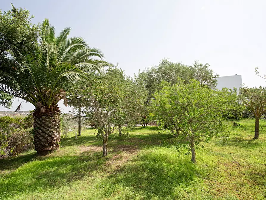 Immagine 29 di Villa in vendita  a Lipari