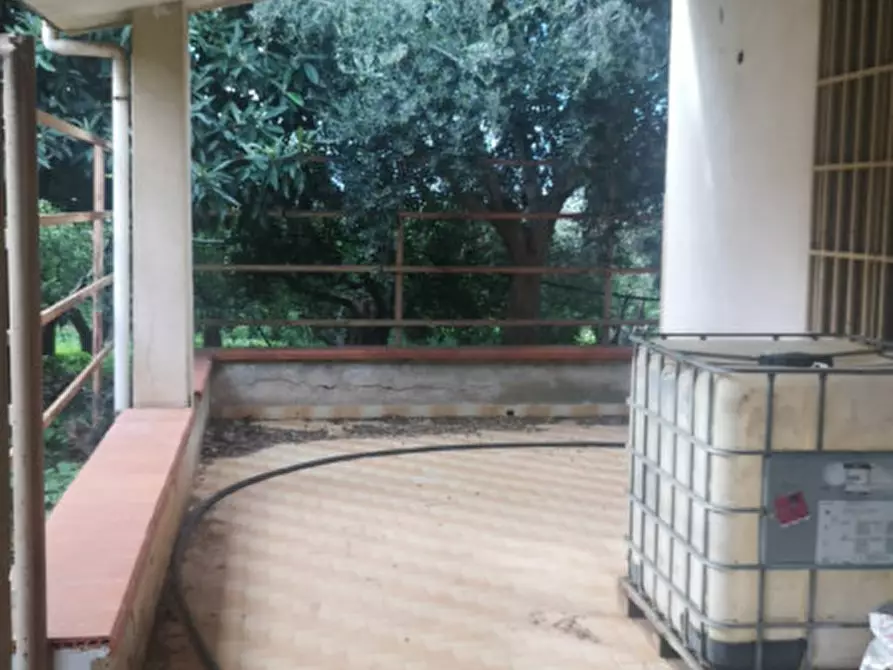 Immagine 12 di Villa in vendita  in CONTRADA NATOLI a Palermo