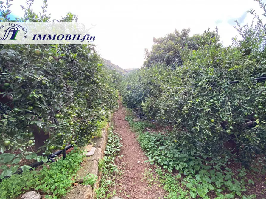 Immagine 15 di Villa in vendita  in CONTRADA NATOLI a Palermo