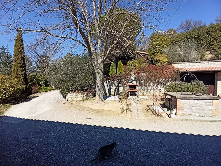 Immagine 42 di Villa in vendita  in lisciano niccone a Lisciano Niccone