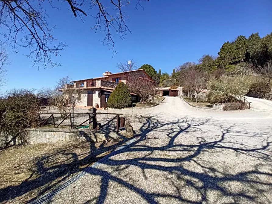 Immagine 44 di Villa in vendita  in lisciano niccone a Lisciano Niccone