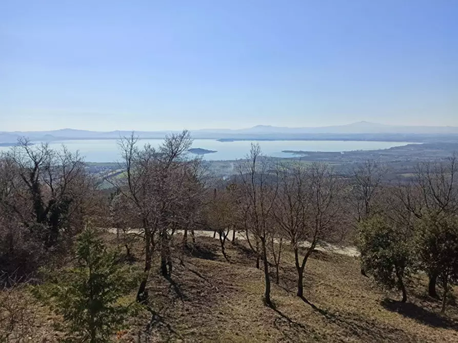 Immagine 49 di Villa in vendita  in lisciano niccone a Lisciano Niccone