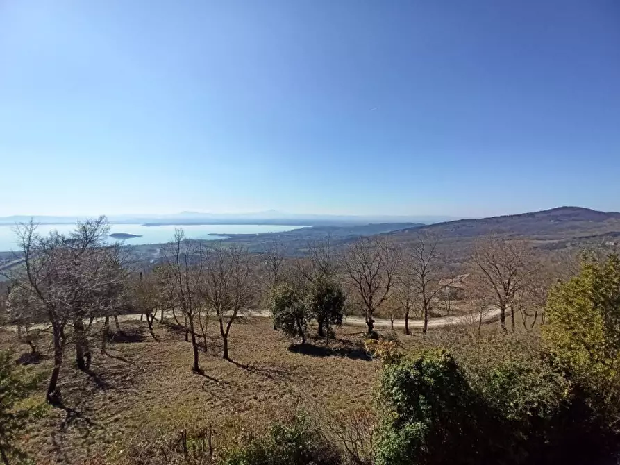Immagine 50 di Villa in vendita  in lisciano niccone a Lisciano Niccone
