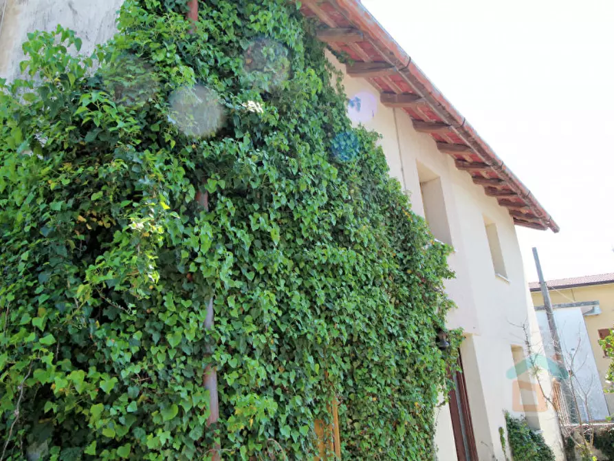 Immagine 5 di Rustico / casale in vendita  in via Ellero 10 a Gonars