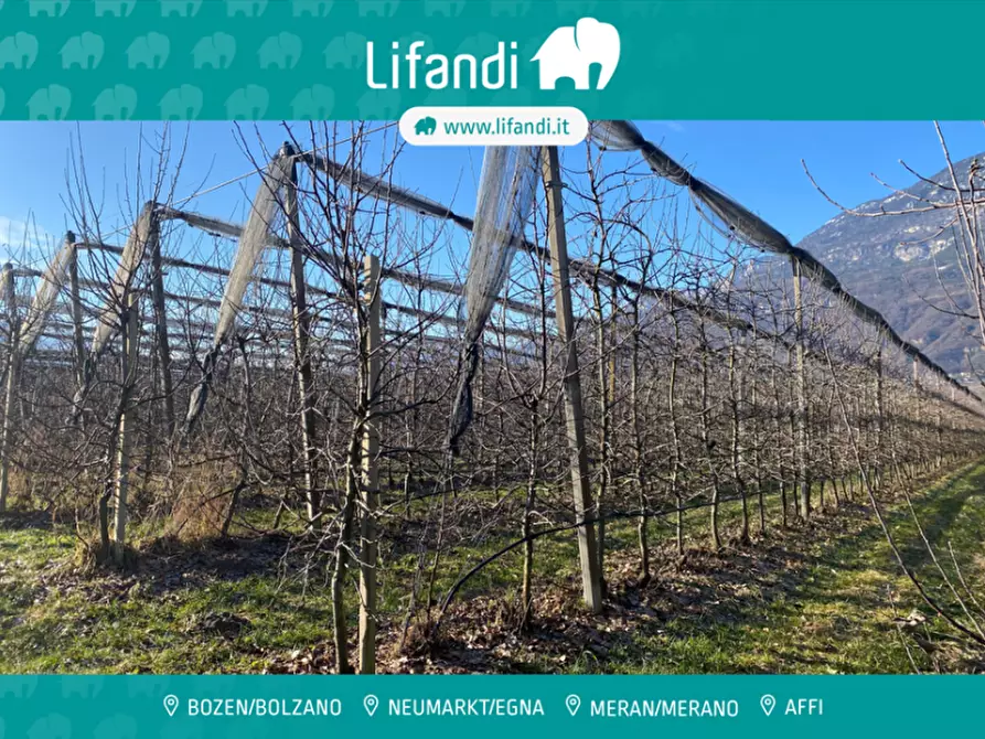 Immagine 1 di Terreno in vendita  a Caldaro Sulla Strada Del Vino .Kaltern An De.