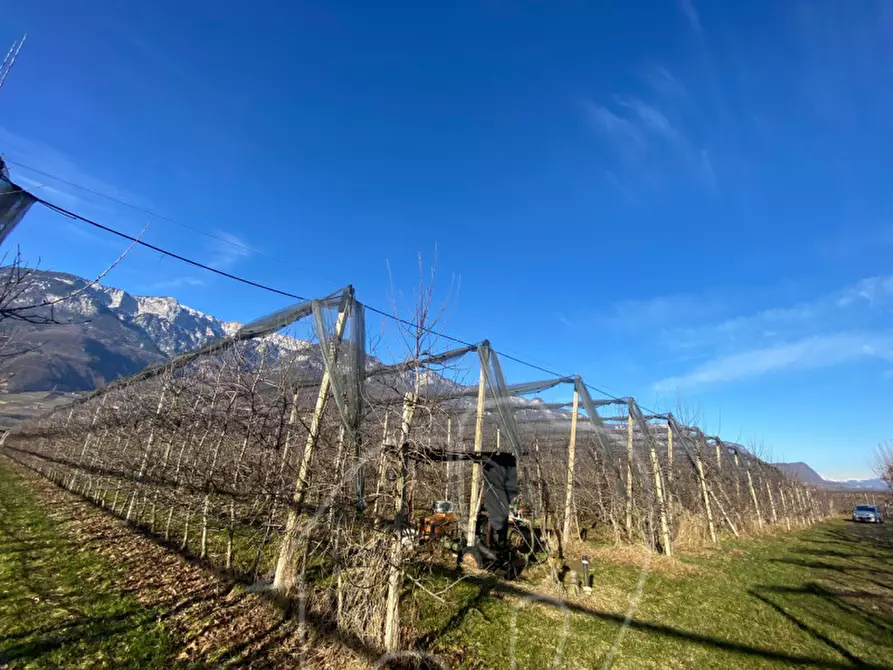 Immagine 2 di Terreno in vendita  a Caldaro Sulla Strada Del Vino .Kaltern An De.