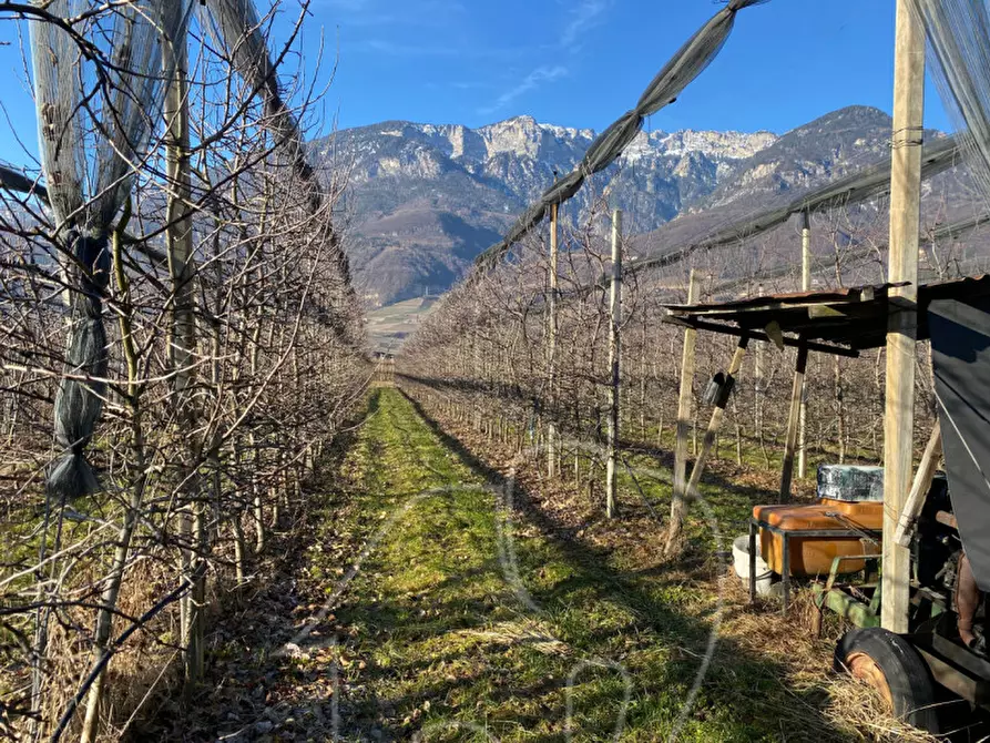 Immagine 8 di Terreno in vendita  a Caldaro Sulla Strada Del Vino .Kaltern An De.