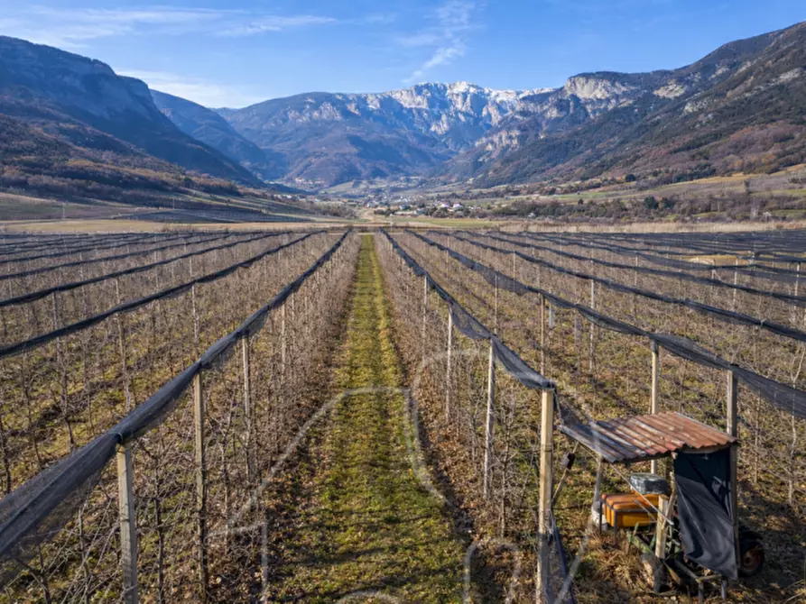 Immagine 10 di Terreno in vendita  a Caldaro Sulla Strada Del Vino .Kaltern An De.