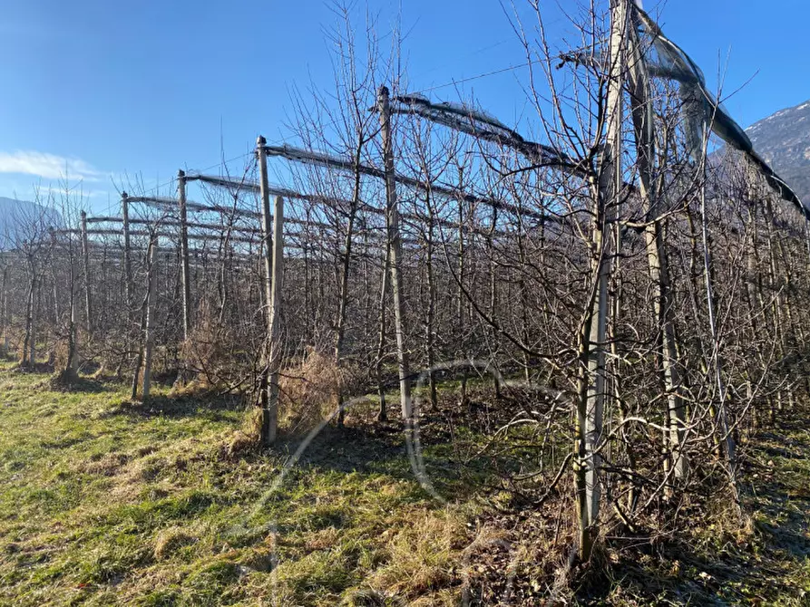 Immagine 7 di Terreno in vendita  a Caldaro Sulla Strada Del Vino .Kaltern An De.