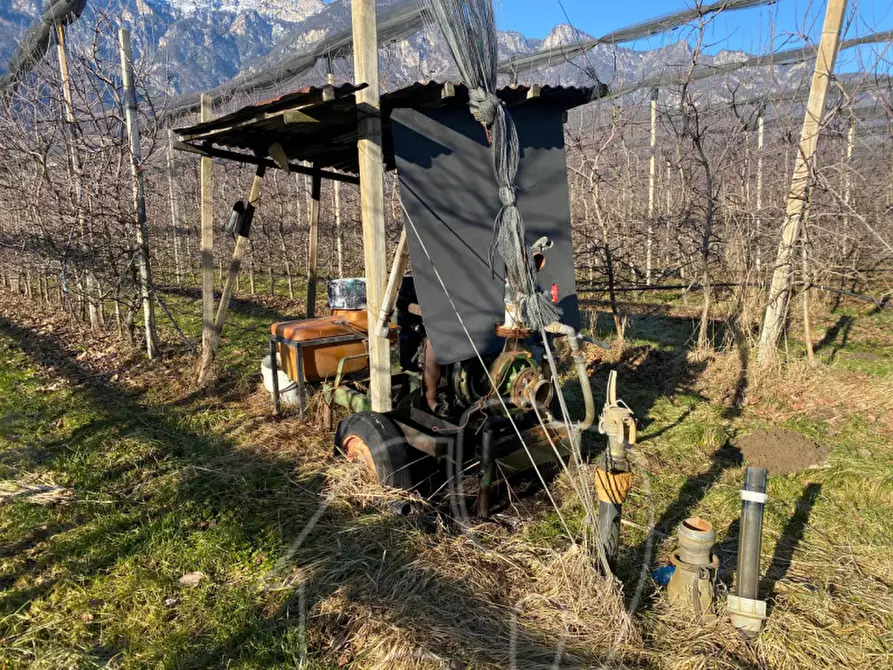 Immagine 10 di Terreno in vendita  a Caldaro Sulla Strada Del Vino .Kaltern An De.