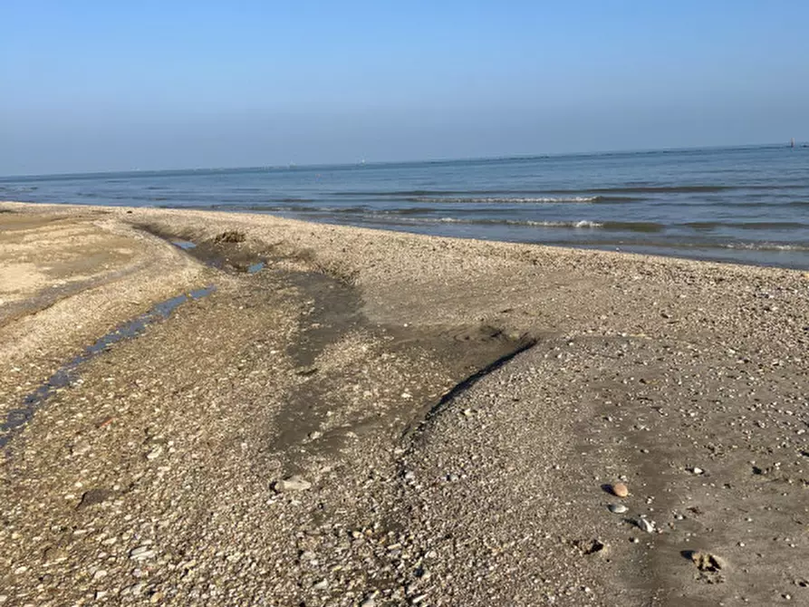 Immagine 17 di Attività commerciale in vendita  in Via Ammiraglio Cappelini a Fano