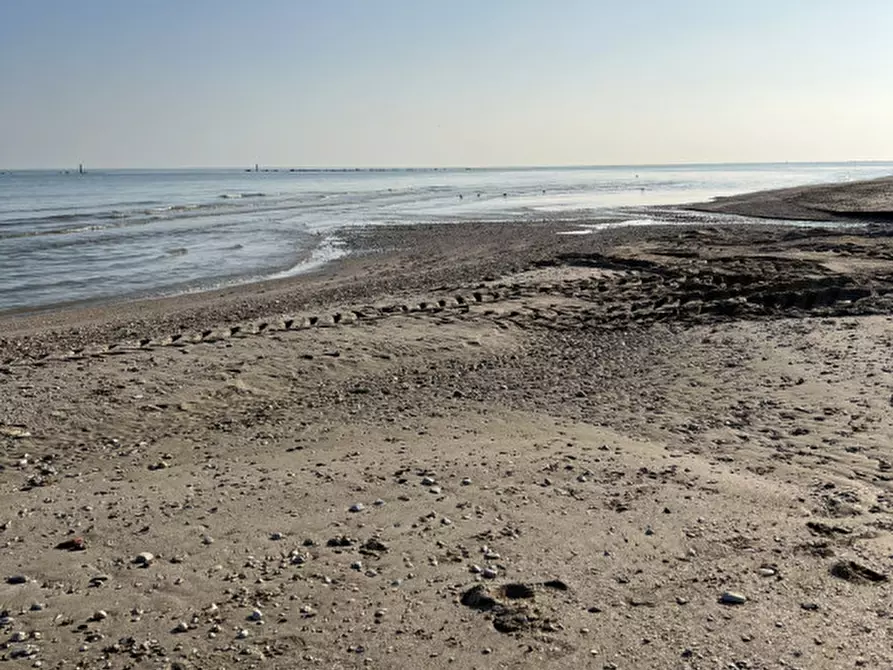 Immagine 18 di Attività commerciale in vendita  in Via Ammiraglio Cappelini a Fano