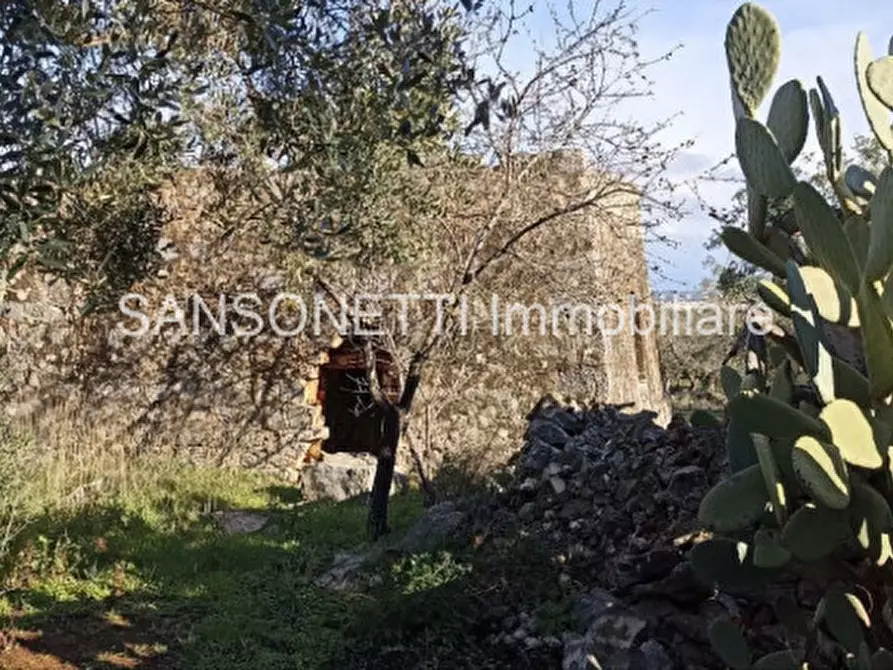 Immagine 8 di Rustico / casale in vendita  in GOAL a Fasano