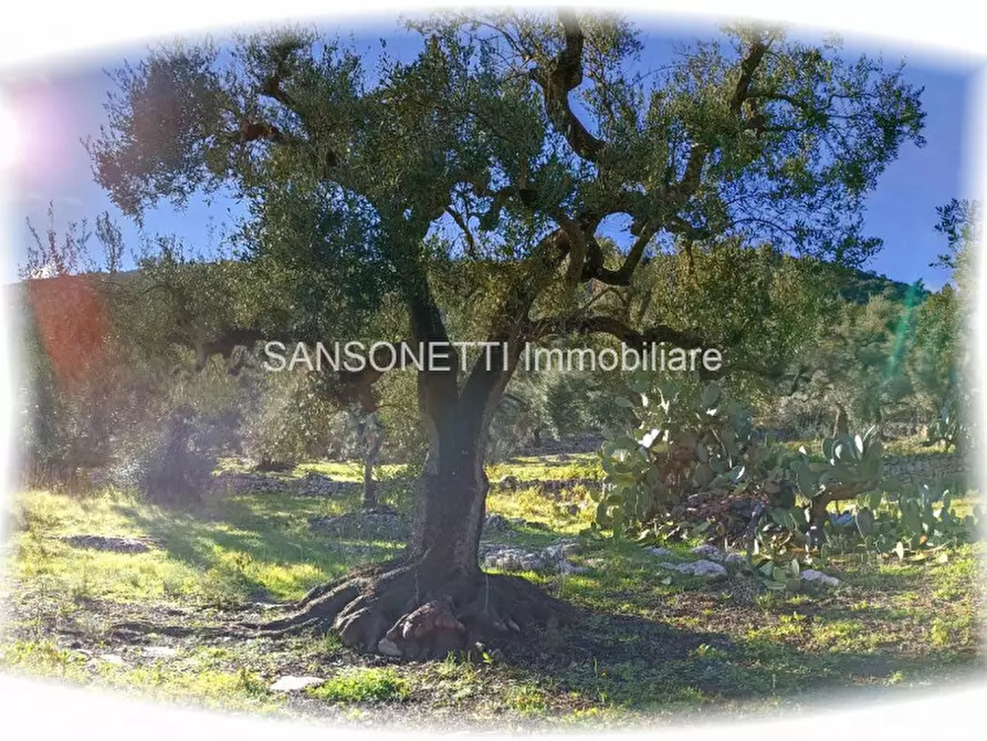 Immagine 12 di Rustico / casale in vendita  in GOAL a Fasano