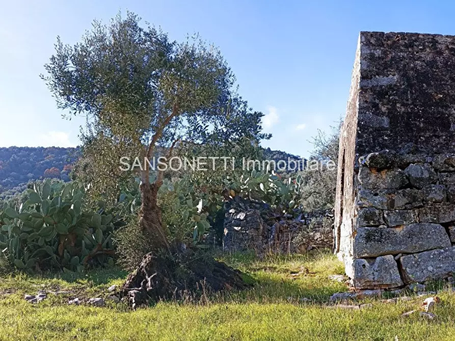 Immagine 21 di Rustico / casale in vendita  in GOAL a Fasano