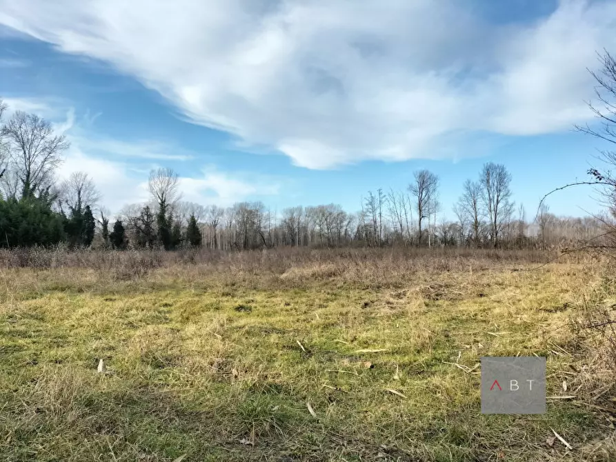 Immagine 2 di Terreno in vendita  a Piombino Dese