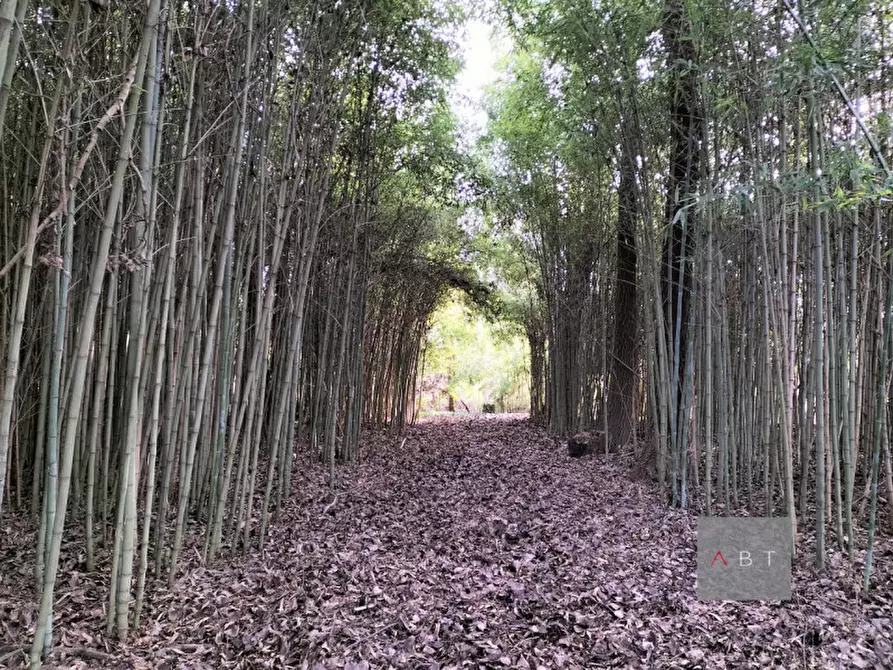 Immagine 4 di Terreno in vendita  a Piombino Dese