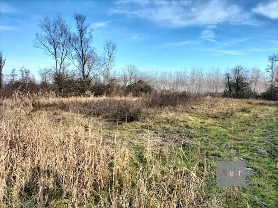 Immagine 5 di Terreno in vendita  a Piombino Dese