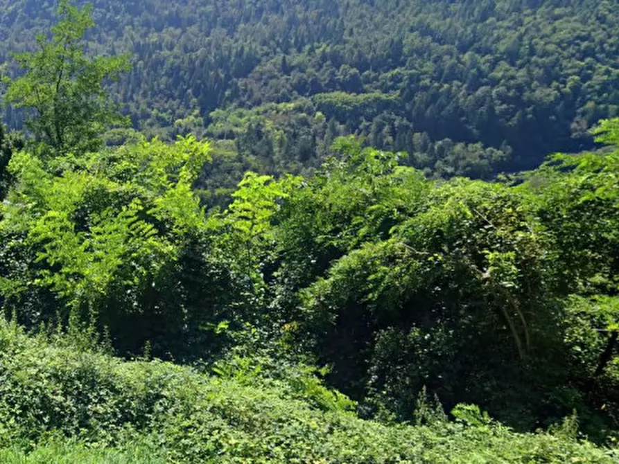 Immagine 1 di Terreno in vendita  in Via Perer a Arsie'