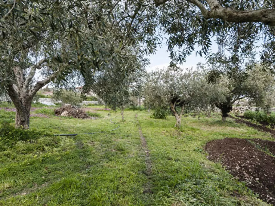 Immagine 9 di Casa indipendente in vendita  in Contrada Trebalate a Modica