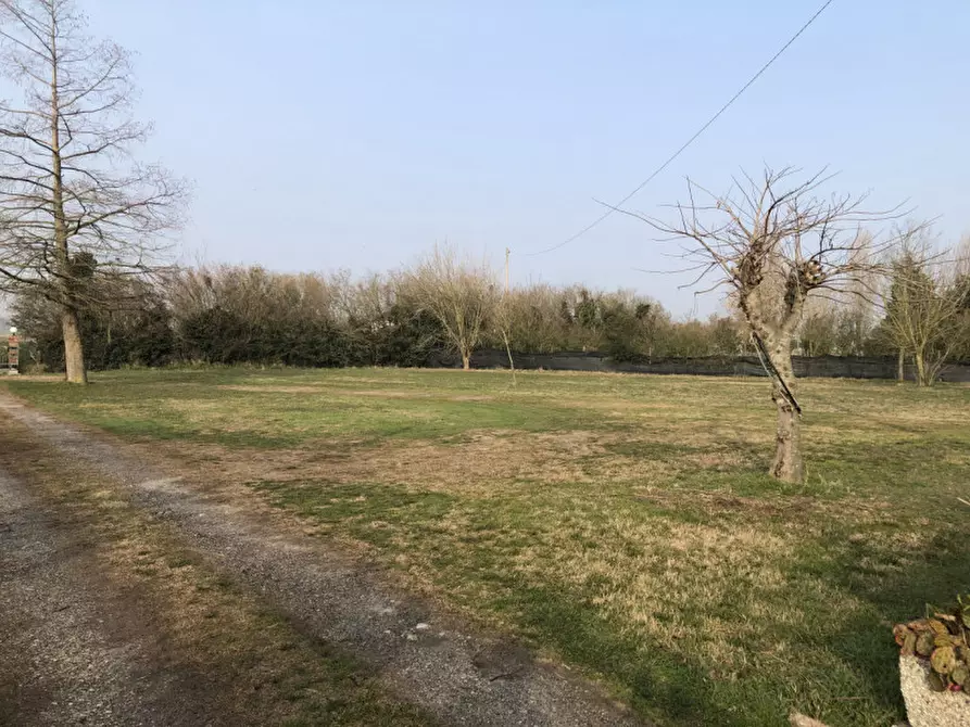 Immagine 3 di Villa in vendita  in Vai Barenassa a Chioggia