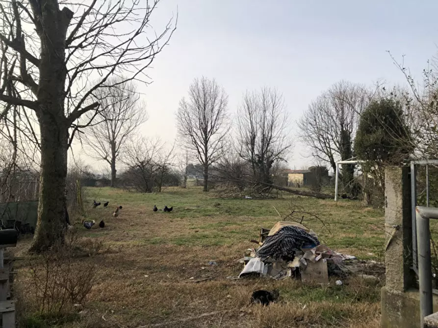 Immagine 5 di Villa in vendita  in Vai Barenassa a Chioggia