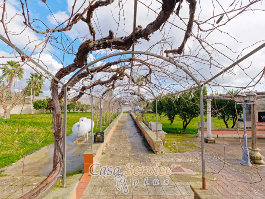 Immagine 34 di Villa in vendita  in Contrada Viva a Cutrofiano