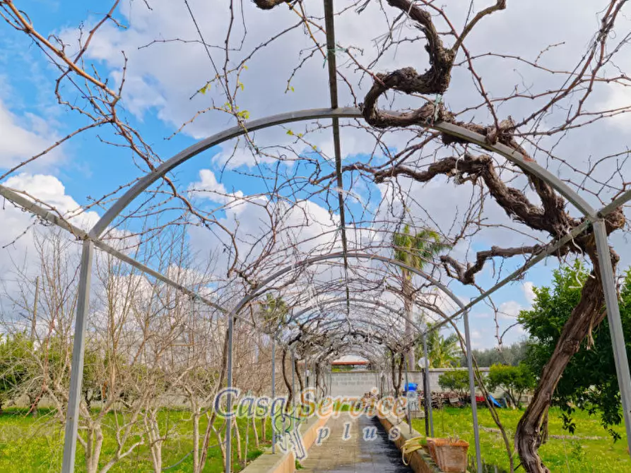 Immagine 35 di Villa in vendita  in Contrada Viva a Cutrofiano