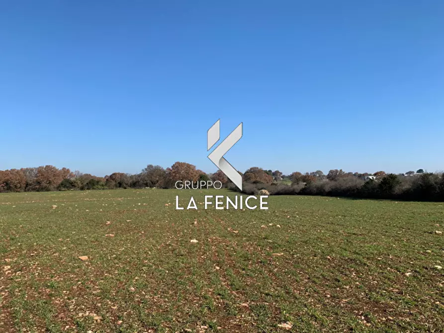 Immagine 13 di Rustico / casale in vendita  in c.da Difesa a Locorotondo