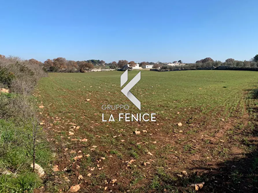 Immagine 14 di Rustico / casale in vendita  in c.da Difesa a Locorotondo